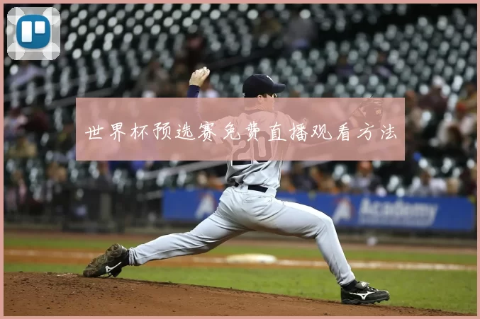 世界杯预选赛免费直播观看方法