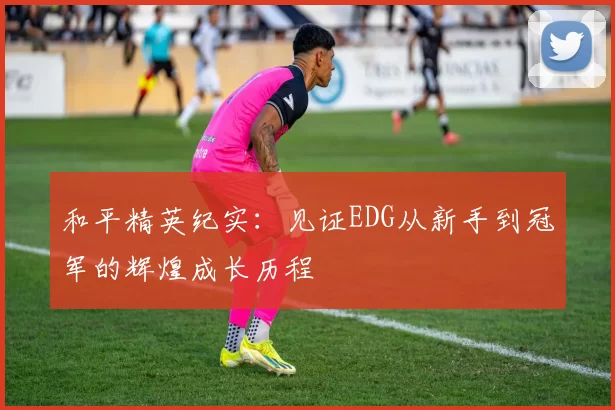 和平精英纪实:见证EDG从新手到冠军的辉煌成长历程