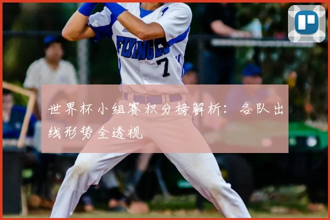 世界杯小组赛积分榜解析：各队出线形势全透视