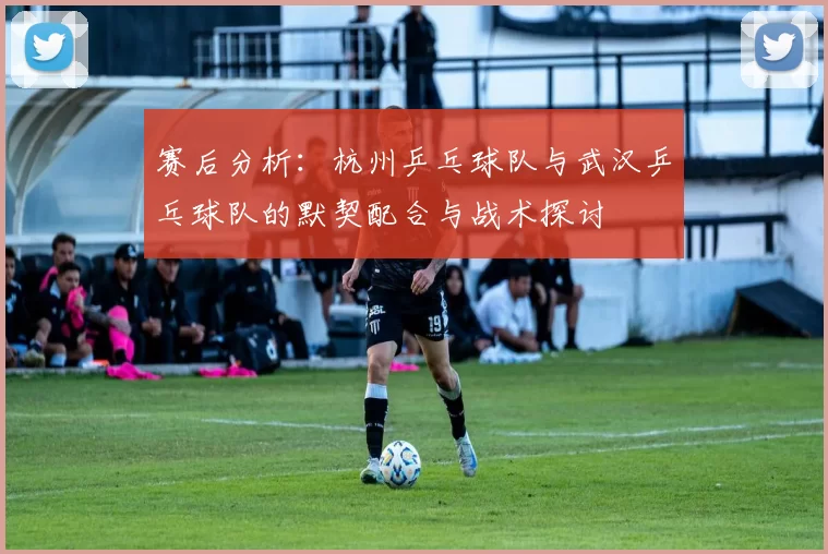 赛后分析：杭州乒乓球队与武汉乒乓球队的默契配合与战术探讨
