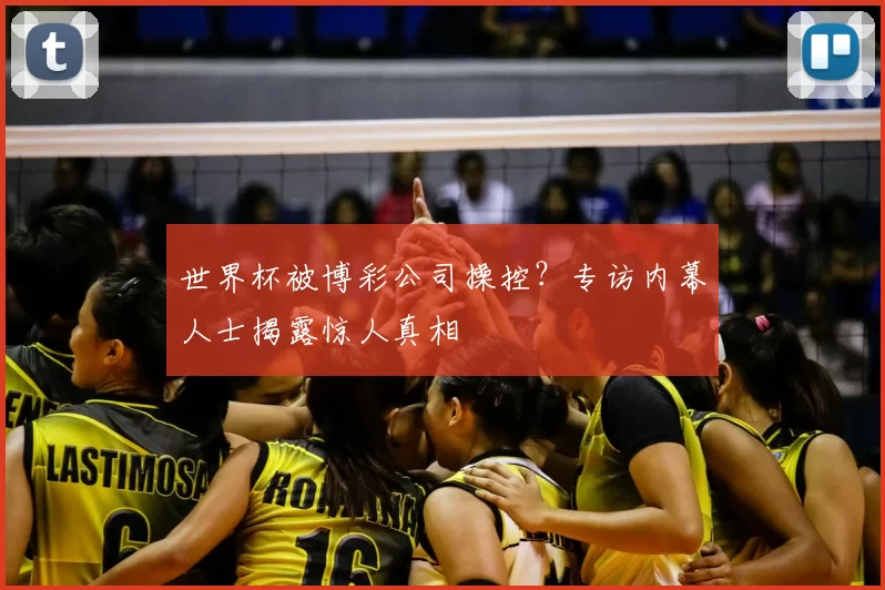 世界杯被博彩公司操控？专访内幕人士揭露惊人真相