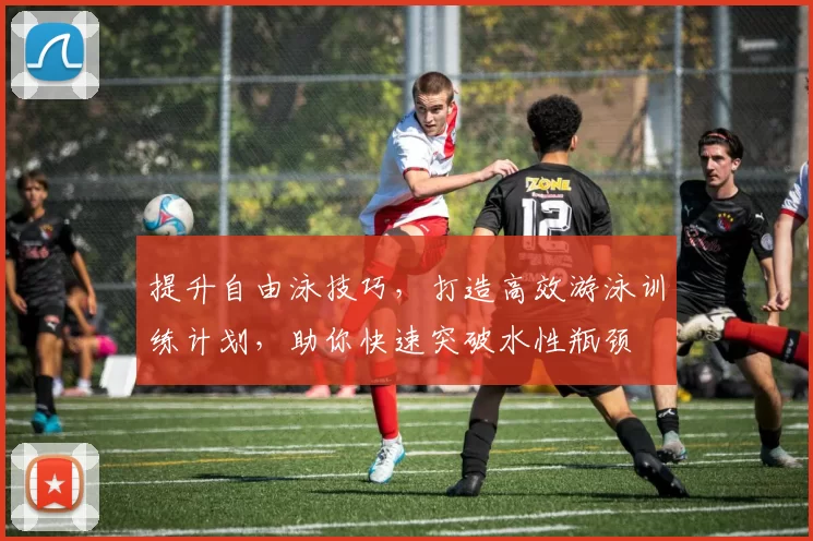 提升自由泳技巧,打造高效游泳训练计划,助你快速突破水性瓶颈