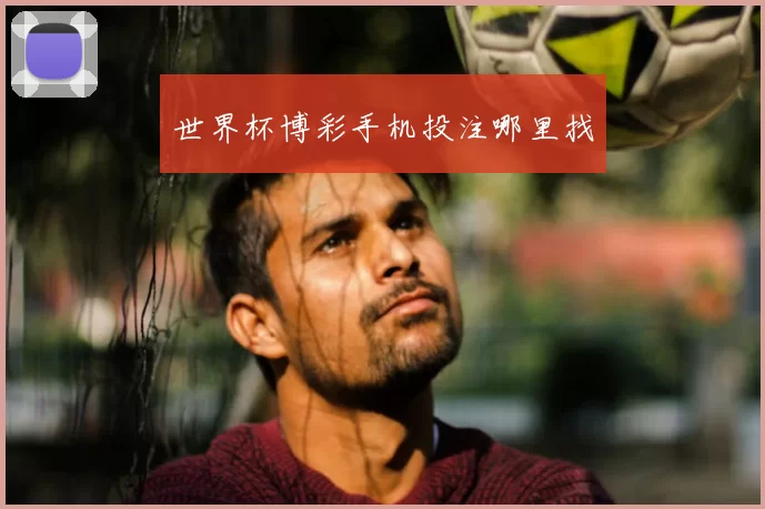 世界杯博彩手机投注哪里找