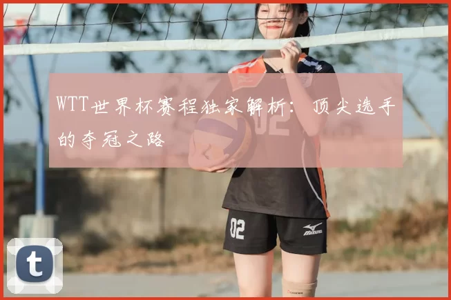 WTT世界杯赛程独家解析：顶尖选手的夺冠之路