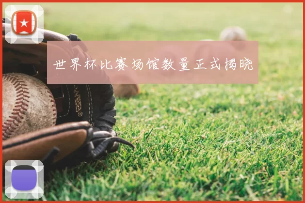 世界杯比赛场馆数量正式揭晓