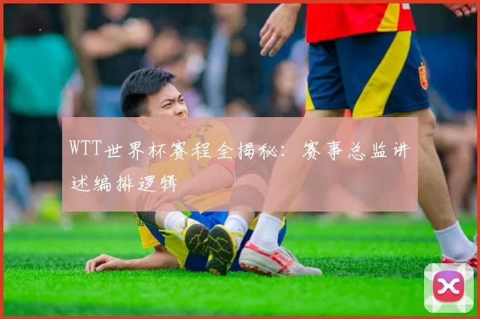 WTT世界杯赛程全揭秘：赛事总监讲述编排逻辑