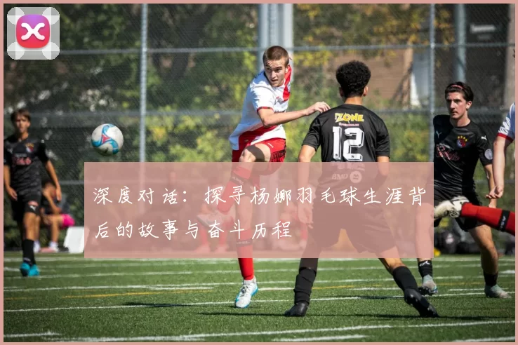 深度对话：探寻杨娜羽毛球生涯背后的故事与奋斗历程